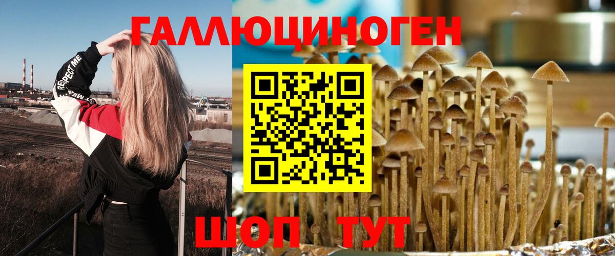 Псилоцибиновые грибы мухоморы  Вход с VPN  Соль-Илецк 